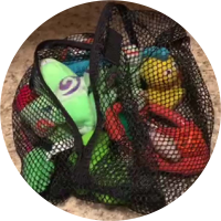 Chew Toys in Mesh bag